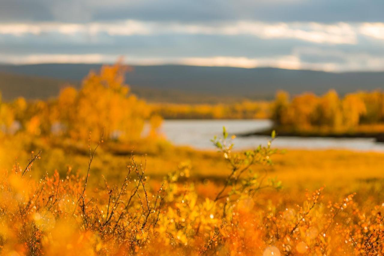 Arctic Gourmet Cabin Kiruna Bagian luar foto