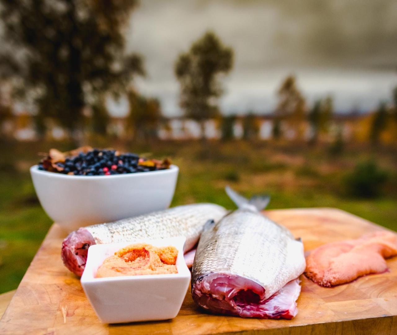Arctic Gourmet Cabin Kiruna Bagian luar foto